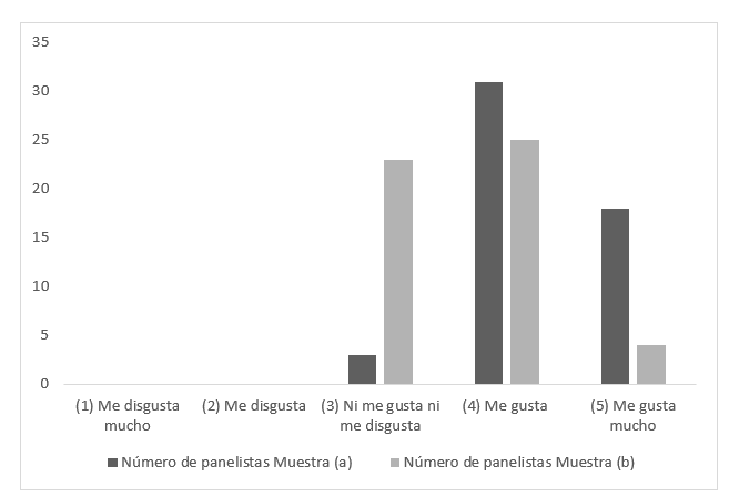 imagen8